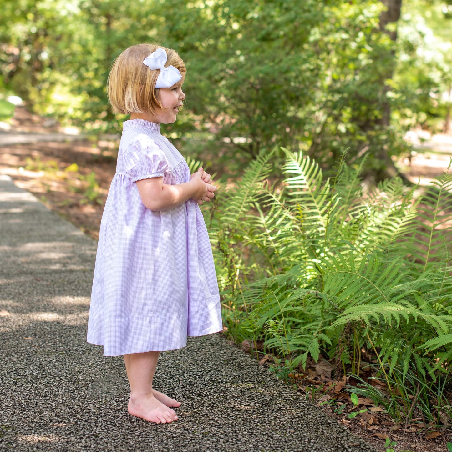 Ann Scott Yoke Lilac Windowpane Dress (2-6)